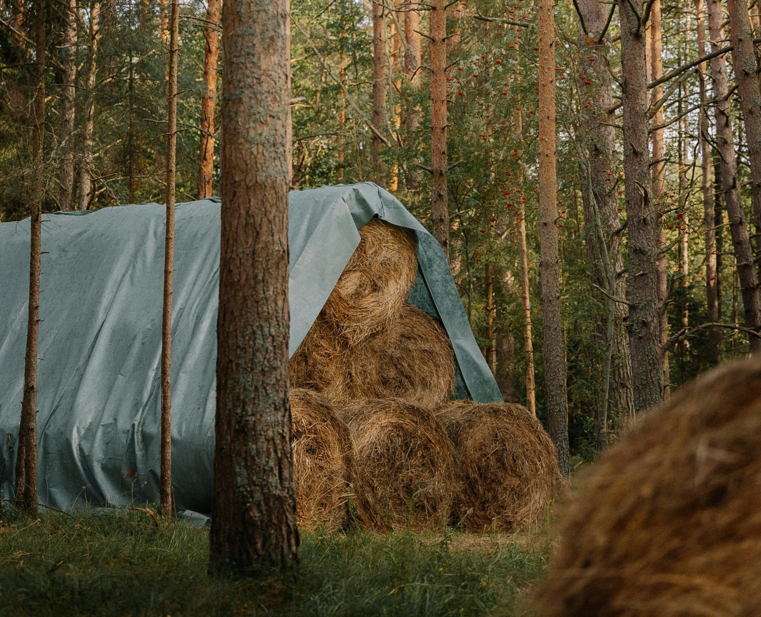 Hay Tarps Guide How to Perfectly Protect Hay Bales with PE Tarpaulins