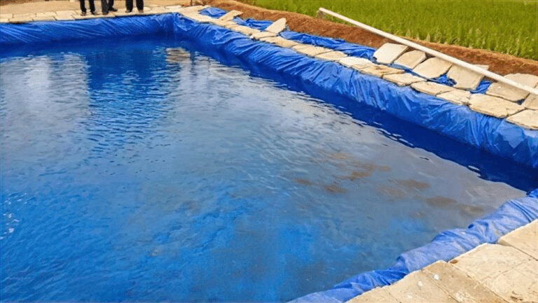 Best practices for choosing a tarp for pond and pool liners